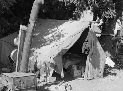 Bean pickers tent one of fourteen in a group on grower's property - Old Photo 1