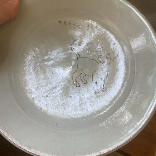 2024 J Ibarra Watershed Ceramics Maine Salad Days Pottery Plate DEVON REX Cat - Picture 6 of 8