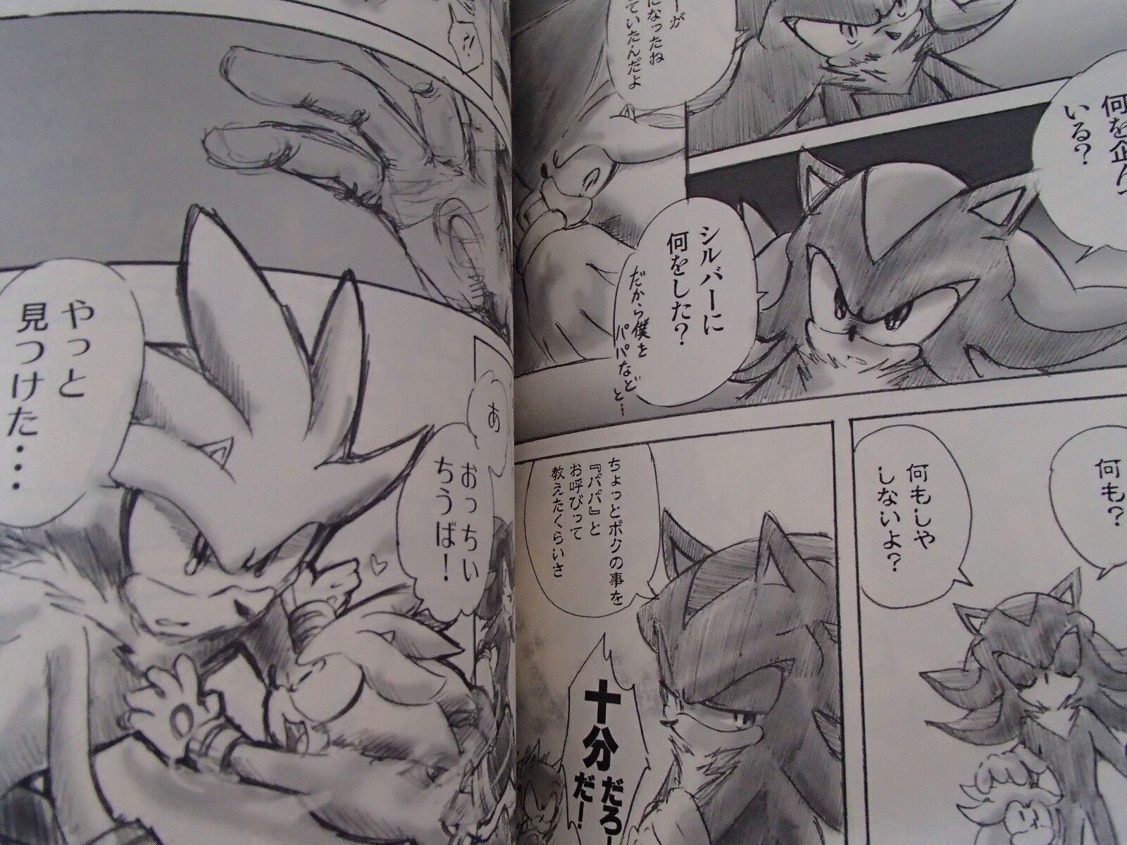 Doujinshi SONIC THE HEDGEHOG Silver main (B5 48pages) World End Runners Sky  High