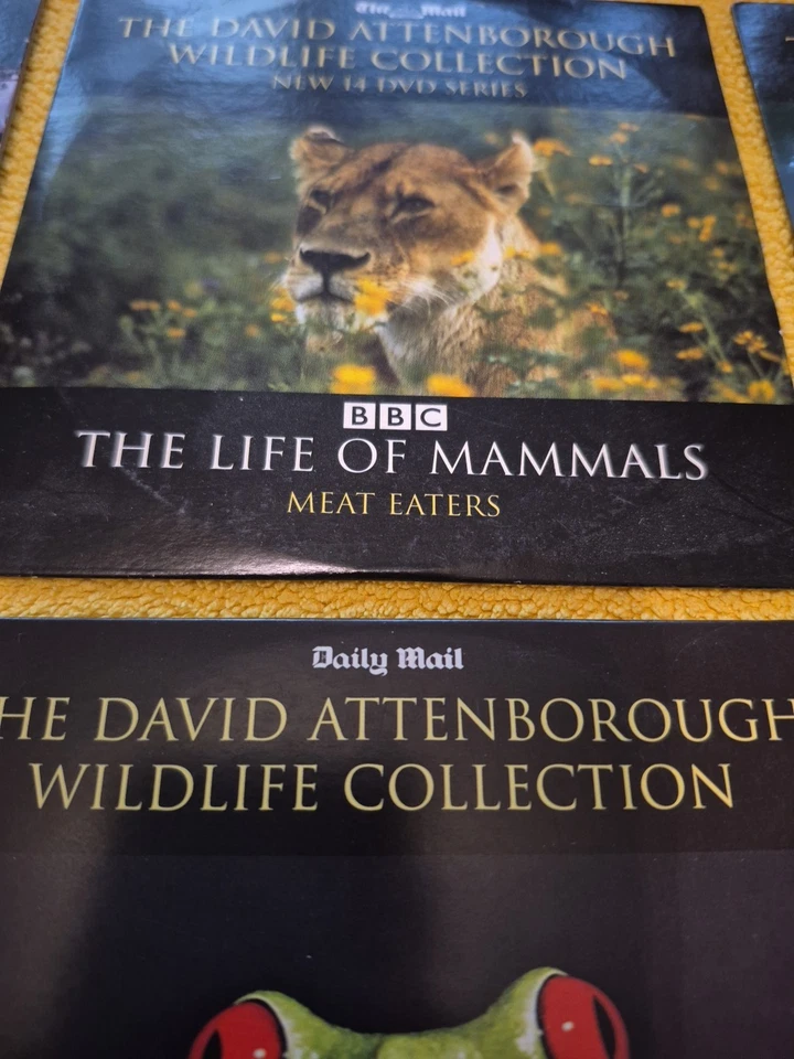 Daily Mail The David Attenborough Wildlife Collection 20 Dvd's - Image 3 of 3