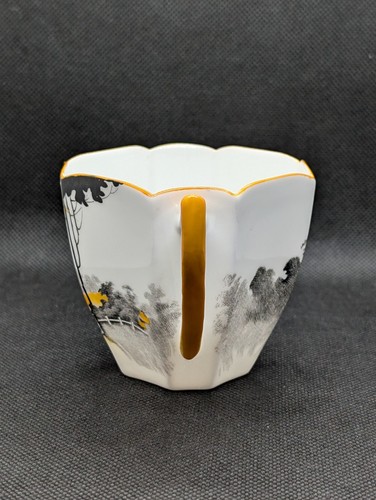 SHELLEY Queen Anne SUNRISE & TALL TREES 11678 Trio - Cup, Saucer, Plate - Picture 4 of 10