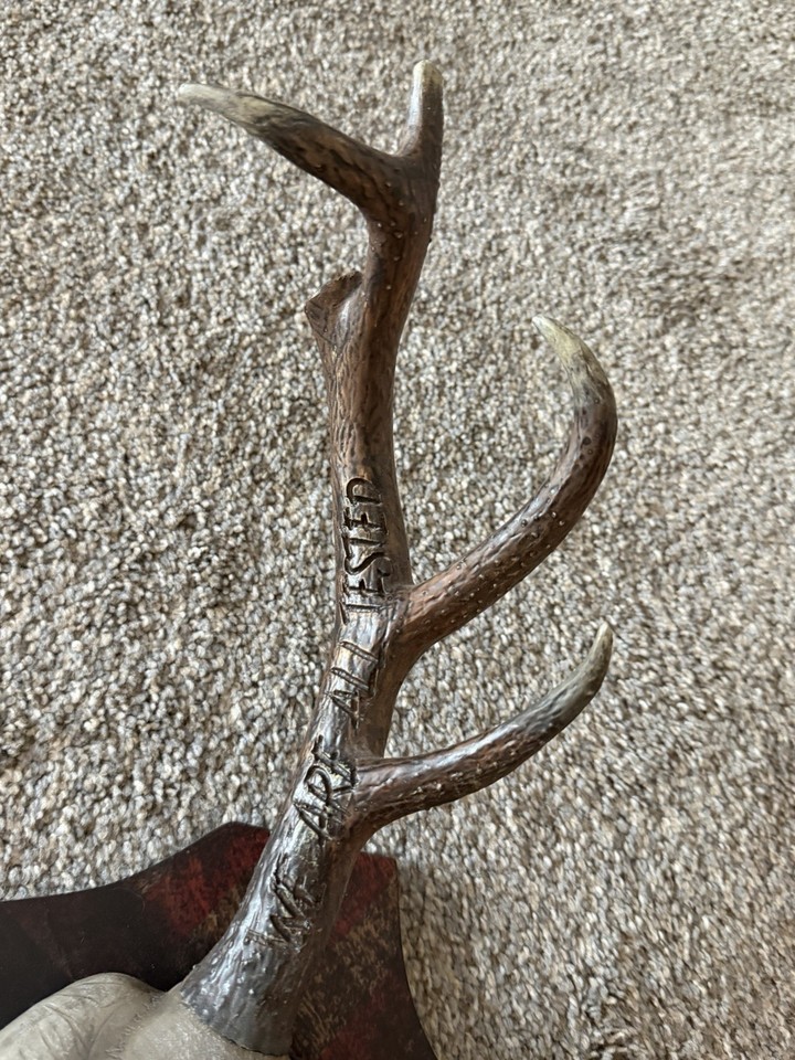 Far Cry 5 Hope County Collectors Edition Deer Skull Wall Mount Only ...