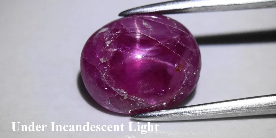💎 2.56ct Oval Natural Purplish Red 6 Ray Star Ruby - Unheated, Tanzania Gem - Image 3 of 4