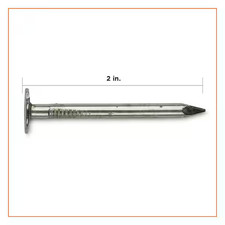 PRO-FIT 2 in. Electro-Galvanized Roofing Nails 25 lbs. 132139