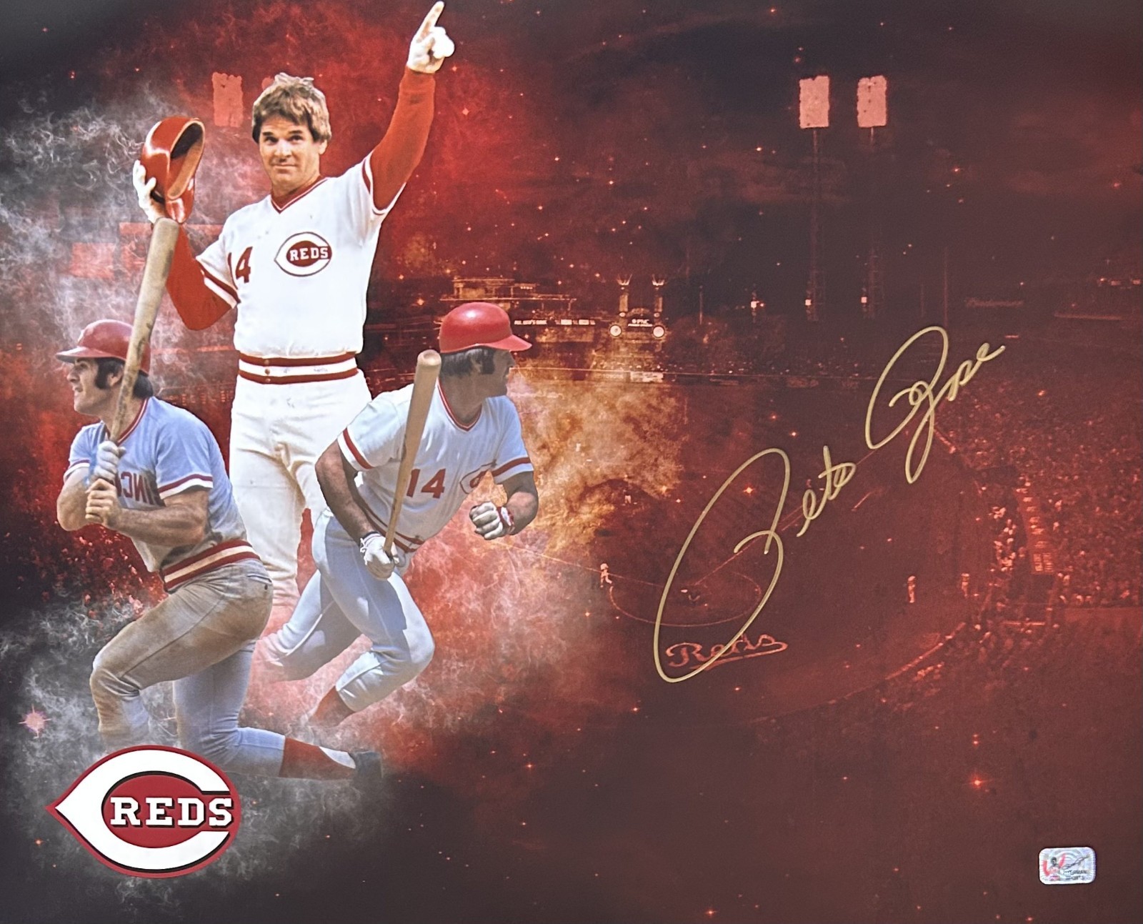 Pete Rose Autographed Signed Cincinnati Reds 16x20 Photo Exclusive Hologram REDS 10 