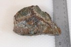 Needle Peak Texas 7.5 oz. Sagenite Agate lapidary faced rough lot B — photo 7