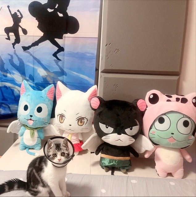 fairy tail frosch plush