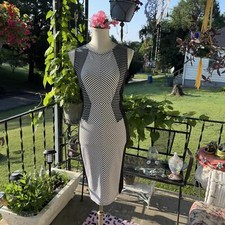 Almost Famous body con dress