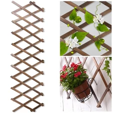 Wood Lattice Fence Panels for Outside 13.4x78.8 Expandable Natural Wooden Wall