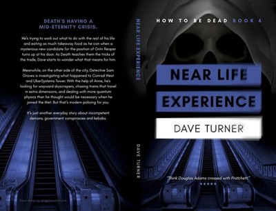 Near Life Experience by Dave Turner Paperback Book