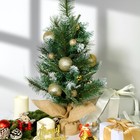 Bild 7 von 62