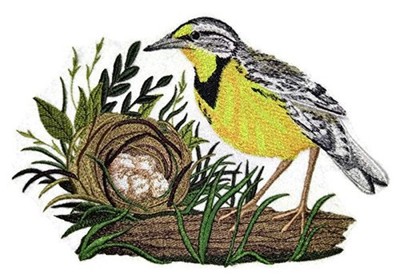 Nature Weaved in Threads, Amazing Birds Kingdom [Eastern Meadowlark and Nest] [C