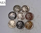 (8) 1913-1919 (date run) Buffalo Nickel Set/Lot ~ Good-VF~ 8 Coins ~ ZBL37