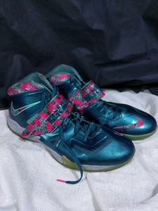 lebron 18 south beach