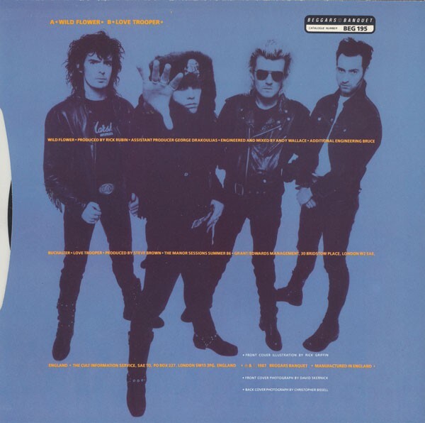 The Cult Wild Flower (7