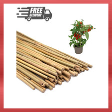 50PCS Plant Stakes,16 Inch Natural Bamboo Stakes,Garden Stakes for Indoor and Ou