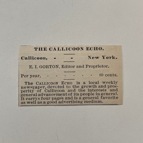 The Callicoon Echo E. I. Gorton Callicoon NY 1890 Newspaper Ad SAI7-S9 - Picture 2 of 2