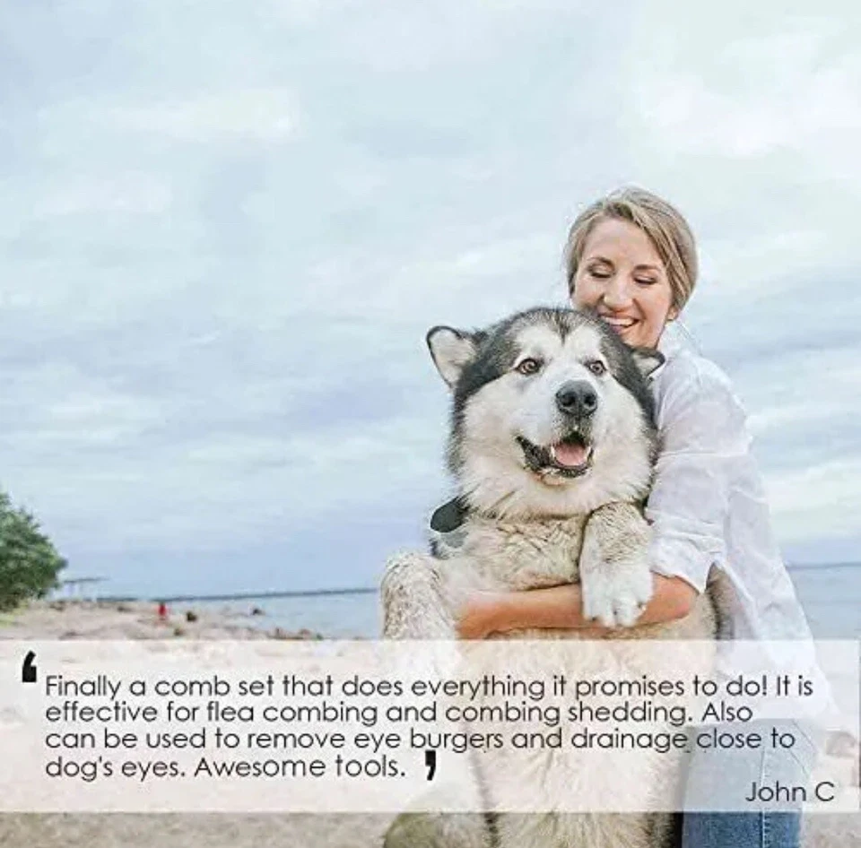 Paquete de 12 peines para eliminar piojos de pulgas para el cuidado del cabello - Image 2 of 4