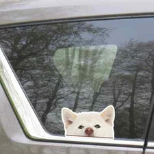 Peeking White Shiba Inu Car Sticker / Realistic Dog Head Vinyl Waterproof Decal