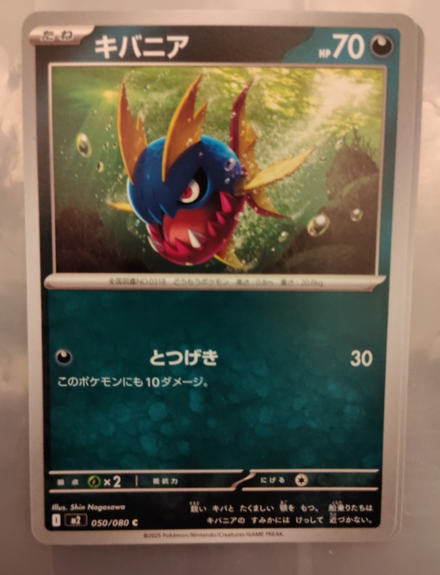 Carvanha 050/080 Inferno X M2 Japanese Near Mint