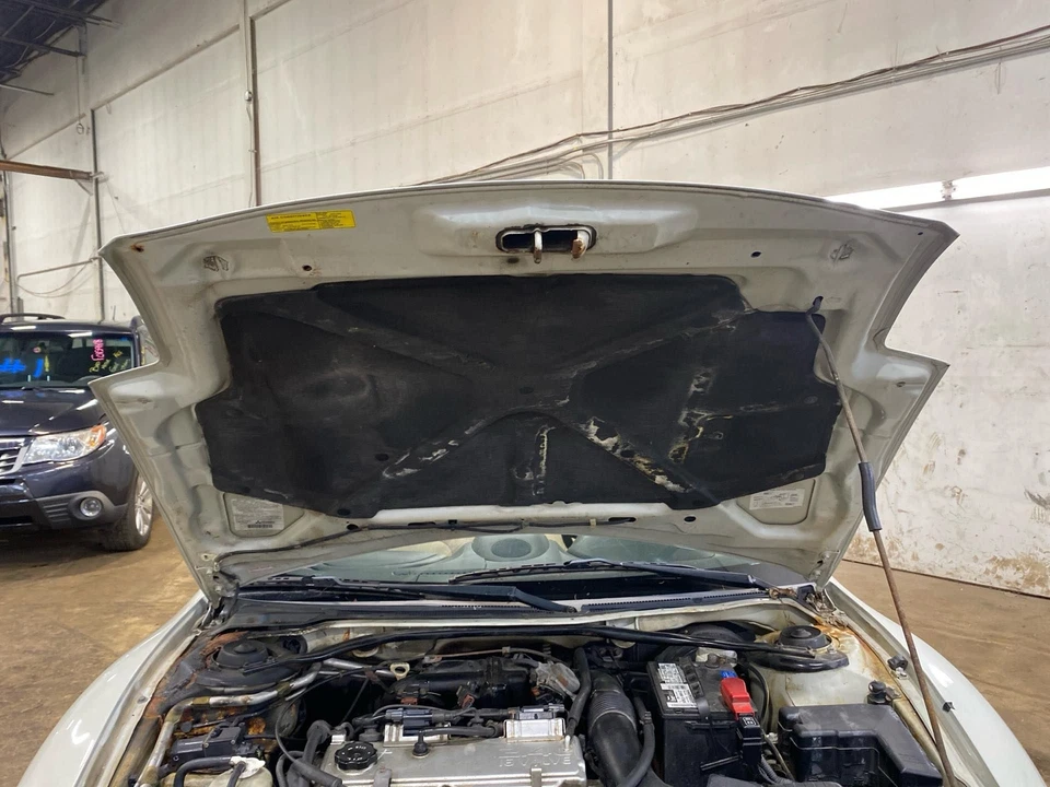 Used Hood fits: 2001 Mitsubishi Eclipse Conv Grade A - Imagem 2 de 4