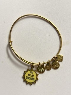 ALEX and ANI You Are My Sunshine Charm Expandable Bangle Gold Bracelet