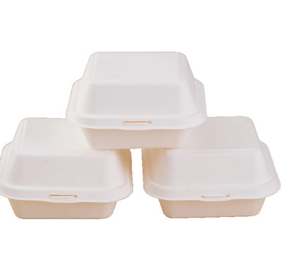 50 Stück biologisch abbaubare 6x6'' weiße Bagasse Clamshell Burger Boxen Einweg