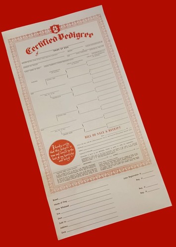 Vintage 1963 Dog World Magazine 6 Unused Pedigree Certificate In Original Mailer - 第 2/9 張圖片