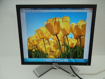 Dell 1907FP 1908FP UltraSharp 19'' LCD Monitor 4-Port USB Hub VGA DVI DC323 CJ319