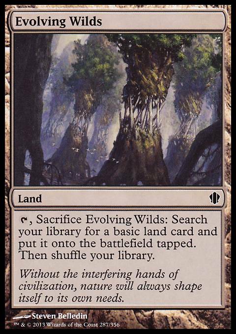 Magic the Gathering MTG Evolving Wilds (287) Commander 2013   LP