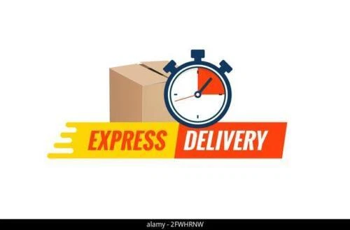 Tradies CANVAS FRONT Seat Covers For Navara D23 NP300 PRO 4X SL ST ST-X 20-25 CH - Picture 9 of 10