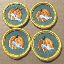 Cadette Girl Scout Good Grooming Vintage 4 Ba...