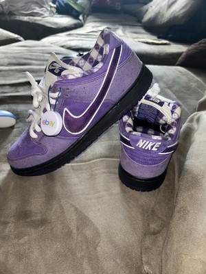 Size 9.5 - Nike SB Dunk Low x Concepts Purple Lobster