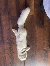 Genuine Arctic Fox Archery Quiver