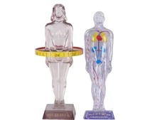 1950's-60's Merck Diuril medical model promotional paperweights