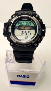 casio 5119
