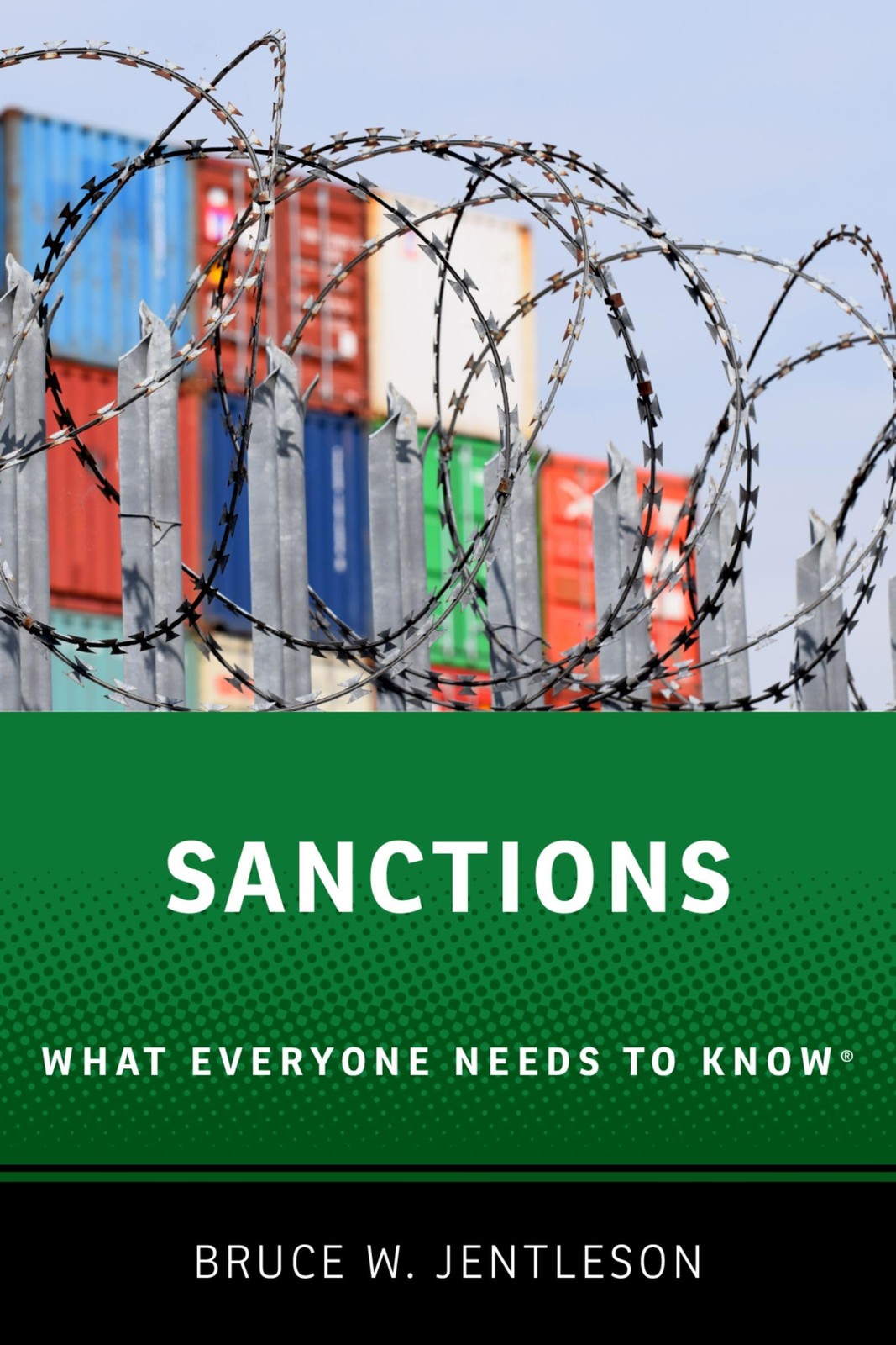 Sanctions by Bruce W. Jentleson PAPERBACK - Image 4