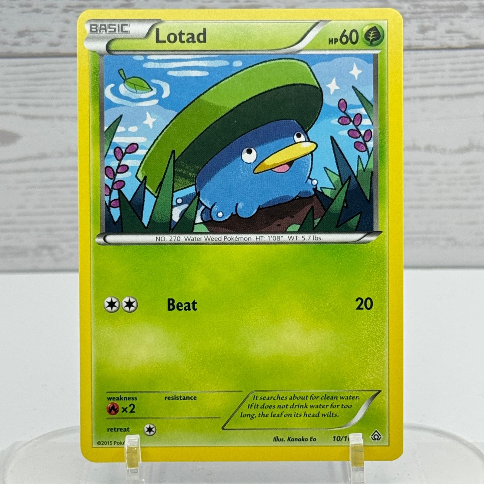 Lotad 23/30 XY Trainer Kit Latias Latios Pokemon LP