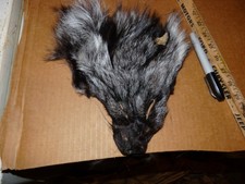 1 tanned SILVER FOX face fur pelt skin FLY TYING native craft supply purse bag 4