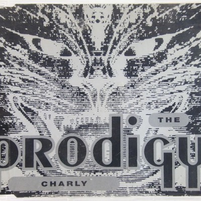 Music Musik MAXI CD The Prodigy   Charly Sehr Gut