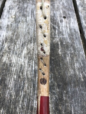 Raquette De Tennis Ancienne En Bois - Williams & Co Paris, Phoenix, Vintage