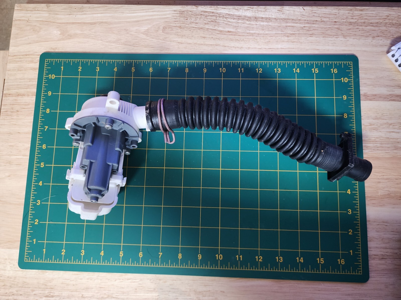 KitchenAid Whirlpool Maytag Washer Drain Pump Replacement Part W10661045-image