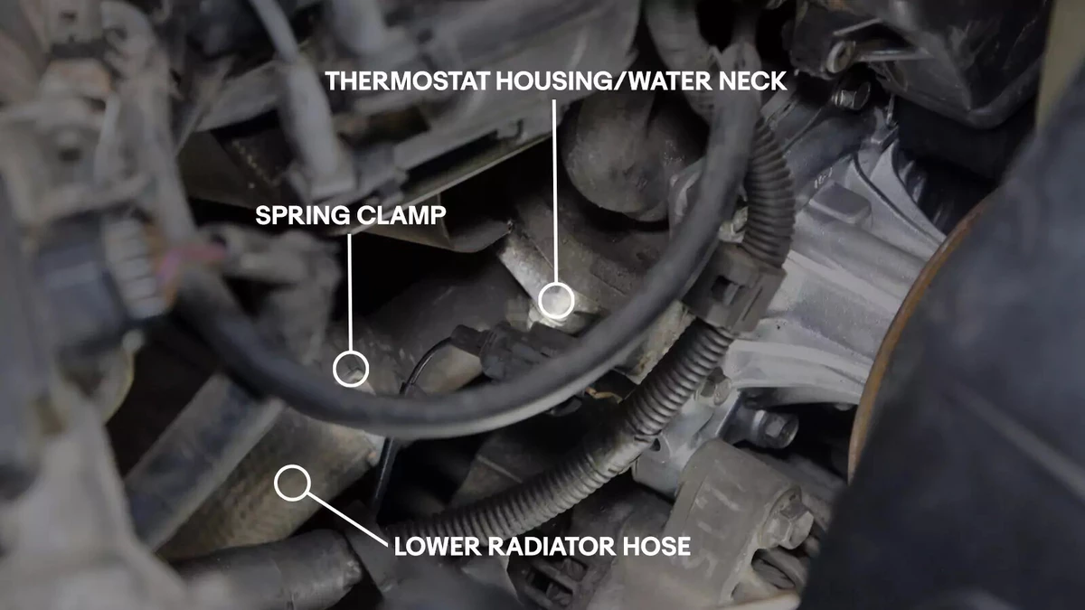 Arrows pointing to a lower radiator hose, spring clamp, and thermostat housing/water neck.