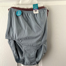 NEW Vanity Fair 3 Pair Perfectly Yours Classic Cotton Brief 6/M MultiColor 15320