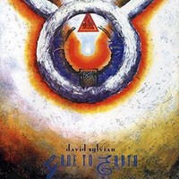 David Sylvian - Gone To Earth - Cd - F99Z