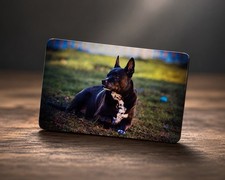 Custom Photo  Refrigerator Magnets - Metal Ba...