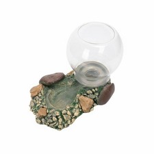 Automatic Amphibian Water Dispenser Naturalistic Design Automatic Amphibian