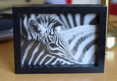 Foto-Poster Zebra im schwarzen Bilderrahmen Fotorahmen Holzrahmen 15 x 20 cm - Bild 1 von 3