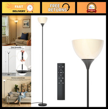 Remote Control Floor Lamp with Stepless Color Temperatures & Brightness - Torchi