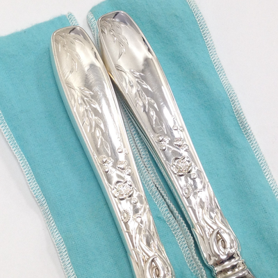 Tiffany & Co. Audubon Large 2-PC Knife & Fork Stainless Blade